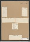 Plagiotropis gibberula (de-Toni-Nr.: Genus 30) Zeichnungen Sammlung Grunow Nr. 2497 (NHMW-BOT-W0369820)
